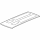 GM 24300400 Roof Panel
