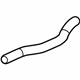 GM 95281207 Water Hose