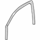 GM 25849240 Run Weatherstrip, Front Outer Passenger Side