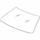 GM 19120460 Windshield