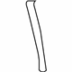 GM 22780333 Rear Molding, Front Passenger Side
