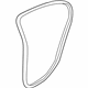 GM 92161705 Weatherstrip On Body