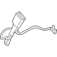 GM 42798696 Buckle, Jet Black, Passenger Side