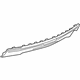 GM 23109669 Lower Filler, Rear