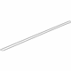 GM 23166516 Weatherstrip, Driver Side
