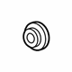 GM 12686721 Valve Springs