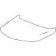 GM 42775040 Hood