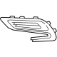 GM 42491765 Finish Molding, Driver Side