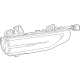GM 42779963 Combination Lamp Assy, Rear Driver Side