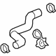 GM 84914054 Lower Hose