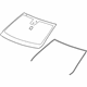 GM 20882819 Windshield