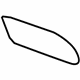 GM 15900317 Plate, Titanium, Passenger Side