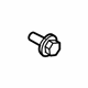 GM 94502161 Lower Molding Bolt