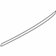 GM 19316880 Belt Molding, Front Passenger Side