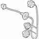 GM 19316436 Socket & Wire