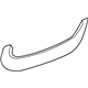 GM 96830201 Molding