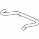 GM 10379176 Upper Hose