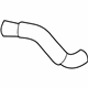 GM 15057982 Lower Hose
