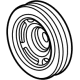GM 12707253 Vibration Damper