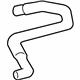 GM 15659482 Upper Hose
