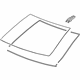 GM 23162364 Windshield