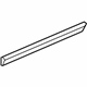 GM 19120338 Body Side Molding, Rear Passenger Side