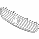 GM 10287933 Grille, Red