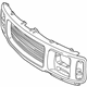 GM 15037243 Grille