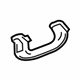 GM 23218756 Grip Handle, Rear Passenger Side