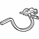 GM 23437691 Hinge, Rear Passenger Side