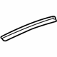 GM 89025715 Side Seal