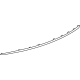 GM 84065718 Molding, Black