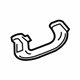 GM 20864479 Grip Handle, Titanium, Rear