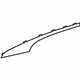 GM 22937521 Finish Molding, Black, Outer Driver Side