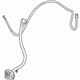 GM 13396586 Harness