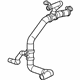 GM 15914231 Lower Hose