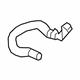 GM 84065804 Coolant Hose