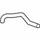 GM 19130485 Upper Hose