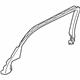 GM 22921228 Upper Molding, Passenger Side