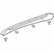 GM 95437103 Side Rail