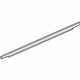 GM 23193172 Belt Weatherstrip, Front Driver Side