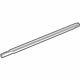 GM 42574272 Belt Weatherstrip, Rear Driver Side