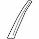 GM 10308241 Applique, Rear Passenger Side