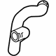 GM 39071387 Upper Hose