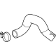 GM 42732065 Lower Hose