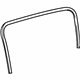 GM 95987988 Weatherstrip On Body