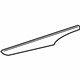GM 15243633 Upper Molding, Rear Passenger Side
