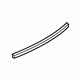 GM 84579219 Belt Weatherstrip, Rear Driver Side