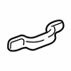 GM 10376786 Assist Strap