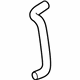 GM 19257724 Lower Hose